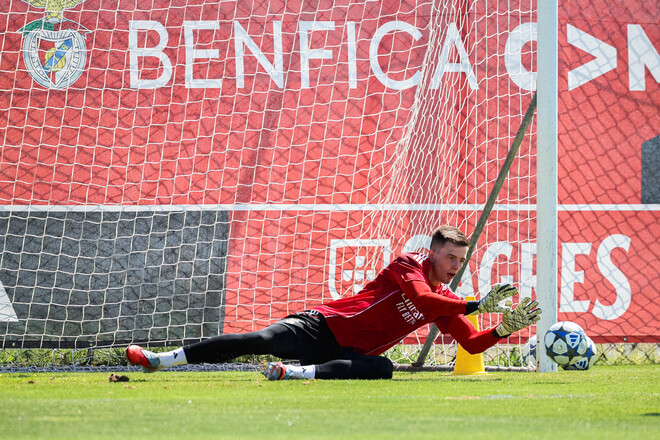 Бенфика – Фенербахче. Прогноз и анонс на матч квалификации Лиги чемпионов