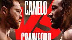 Alvarez - Crawford, Inoue, Bogachuk. The best boxing matches of September