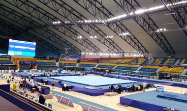 Украина может бойкотировать соревнования по гимнастике. В чем причина?