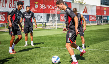 Бенфика – Санта-Клара. Прогноз и анонс на матч чемпионата Португалии