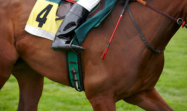 Полиция Манчестера задержала мужчину за подозрение в договорных скачках