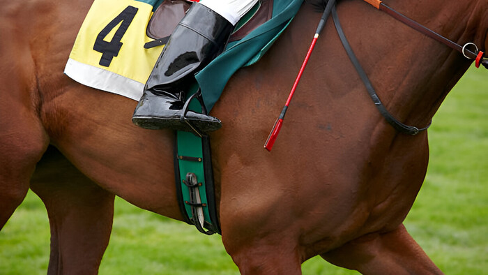 Поліція Манчестера затримала чоловіка за підозрою в договірних скачках