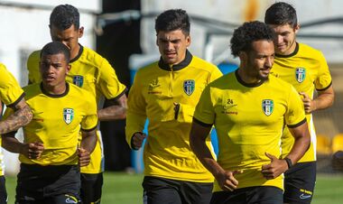 Максимальная поддержка. Все билеты на матч Александрия – Динамо проданы