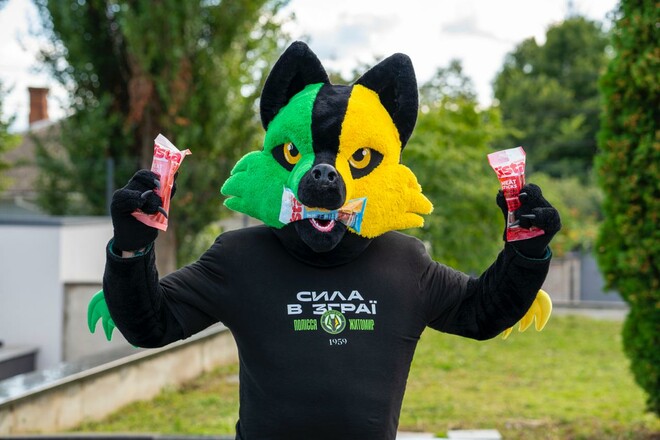 ФОТО. Сила в стае. Как выглядит волк – талисман житомирского Полесья