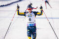 Себастьян Самуэльссон: олимпийский чемпион и любящий отец