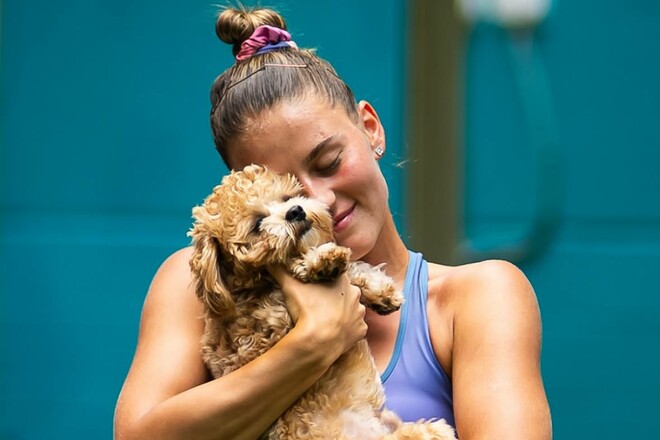 Martha Kostyuk - Emma Navarro. Watch online. Live broadcast