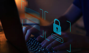 Япония просит другие страны ограничить доступ к иностранным азартным сайтам