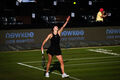 Расписание матчей украинок на турнирах WTA и Уимблдоне на 25 июня