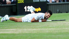 VIDEO. Possible Injury: Dzhokovich has suffered a painful fall on the match