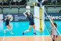 Капитан сборной Украины подписала контракт с чемпионками Польши
