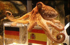 Paul the Octopus