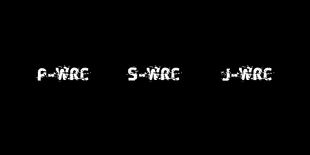 P-WRC, J-WRC, S-WRC и иже с ними