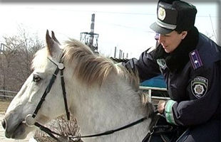 В Донецке даже лошади готовятся к Евро-2012