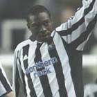 Сороки бьют скандинавов