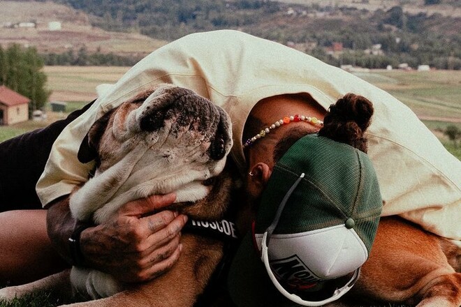 Хэмилтон поделился трагической новостью. Ушел из жизни его любимец Роско