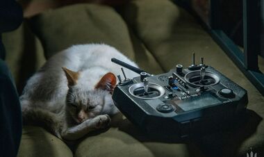 Уничтожение оккупантов продолжается. ВСУ обновили данные потерь армии рф