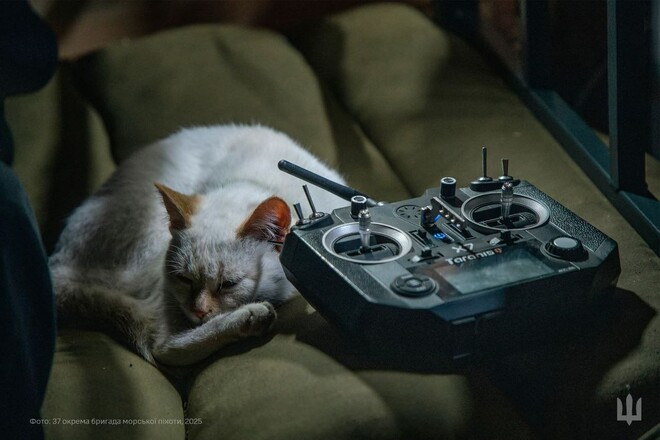 Уничтожение оккупантов продолжается. ВСУ обновили данные потерь армии рф