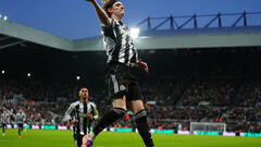 Ньюкасл – Фулхэм. Прогноз и анонс на матч 1/4 финала Кубка лиги Англии