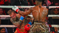 Джошуа и Джейк Пол были отстранены от бокса после поединка в Майами