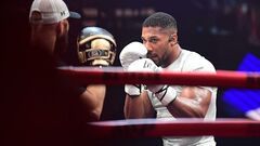 Известно, сколько заработал Джошуа за то, что отправил Пола в больницу