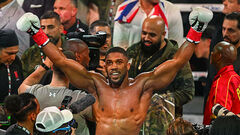 Джошуа запалив після бою з Полом. Дісталося Ф'юрі та Усику