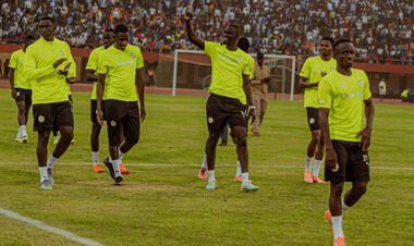 Сенегал – Ботсвана. Прогноз і анонс на матч Кубка африканських націй