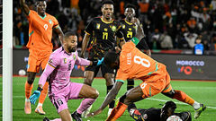 Слоны и львы поделили джунгли. Кот-д'Ивуар и Камерун разошлись миром