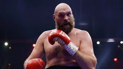 Тайсон ФЬЮРИ: «Старому Усику не стоит связываться с ним. Он его вынесет»