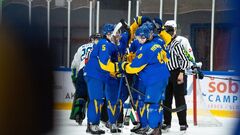 Молодежный ЧМ по хоккею. Стали известны все соперники сборной Украины