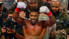 З'явилася моторошні подробиці ДТП з Джошуа. Справжня причина трагедії