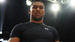 Энтони ДЖОШУА: «Спасибо вам за все»