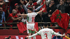 Львиное дерби. Сборная Марокко обыграла Камерун и вышла в полуфинал КАН