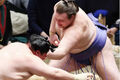 Hatsu Basho. Оба украинца стартовали с побед