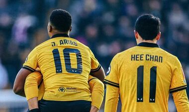 Вулвергемптон  – Ньюкасл. Прогноз і анонс на матч чемпіонату Англії