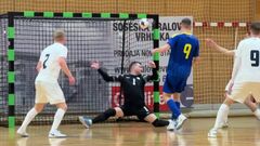 Таємний спаринг. Україна обіграла Словенію за зачиненими дверима