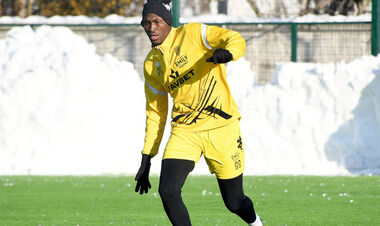 Не тільки Карпати. На одного з лідерів Руху з'явився ще один покупець