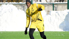 Не только Карпаты. У одного из лидеров Руха появился еще один покупатель