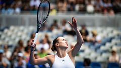 Свитолина в борьбе. Определена половина участниц 1/16 финала Aus Open 2026