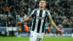 Не выдержали прессинга. Ньюкасл дома разгромил ПСВ.