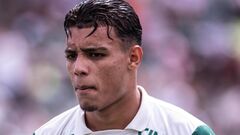 Шахтер поспорит с топ-клубом Португалии за центрбека Палмейраса