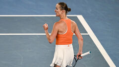 Світоліна: 13 спроб до першого півфіналу Aus Open та майже віковий рекорд