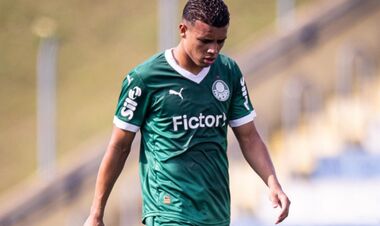 Шахтер потерпел неудачу. Палмейрас отказал горнякам в продаже Робсона