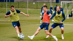 Faith in victory. Bookmakers named the favorite of Iceland-Ukraine