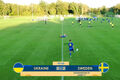 Украина U18 – Швеция U18 – 0:2. Заняли третье место в Хорватии. Видео голов