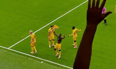 Брайтон – Ньюкасл. Прогноз и анонс на матч чемпионата Англии