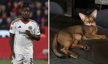 ФОТО. У звезды футбола умирает кошка. Он обратился с необычной просьбой