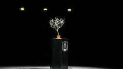 ATP 1000 Paris. The draw for the last Masters: who has Alcaraz and Sinner