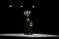 ATP 1000 Paris. The draw for the last Masters: who has Alcaraz and Sinner
