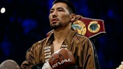 OFFICIALLY. The USA will host a boxing night with four title fights