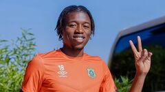 Dynamo will add a new player after the match with Shakhtar